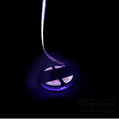 Sin puntos colorido Cob Rgb Rgbw Direccionable Led Strip 784Chips/M 24V 12mm